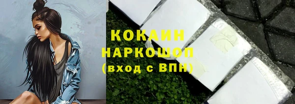 гашик Осташков