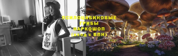 винт Осинники