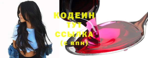 гашик Осташков
