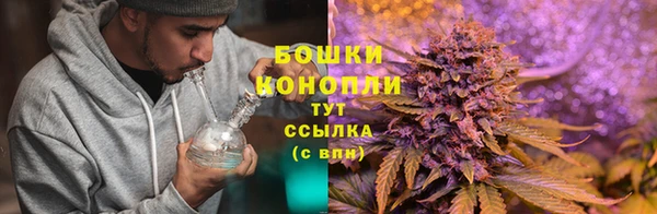 гашик Осташков