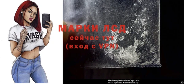 гашик Осташков