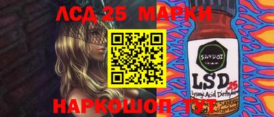 spice Гатчина