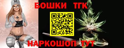 spice Гатчина