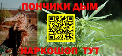 spice Гатчина