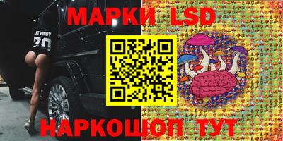 spice Гатчина