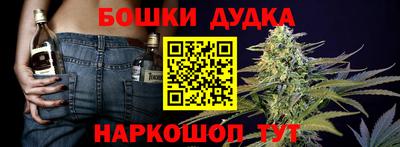 прущие грибы Азнакаево