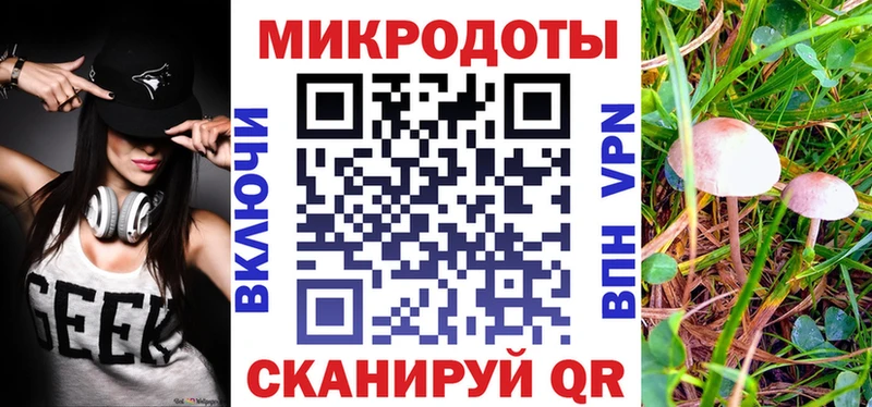 Псилоцибиновые грибы MAGIC MUSHROOMS  где купить наркоту  Абинск 