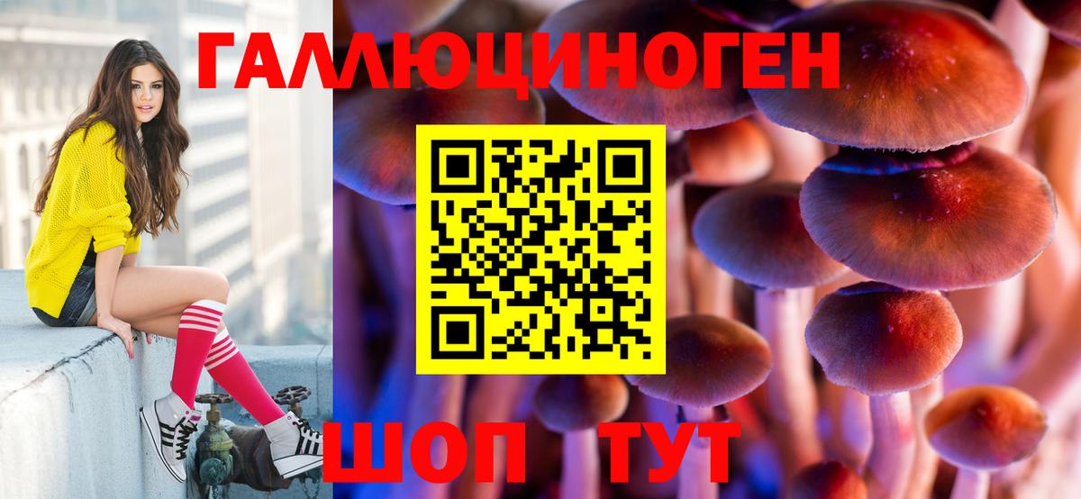Псилоцибиновые грибы Magic Shrooms  Вход с VPN  Абинск 