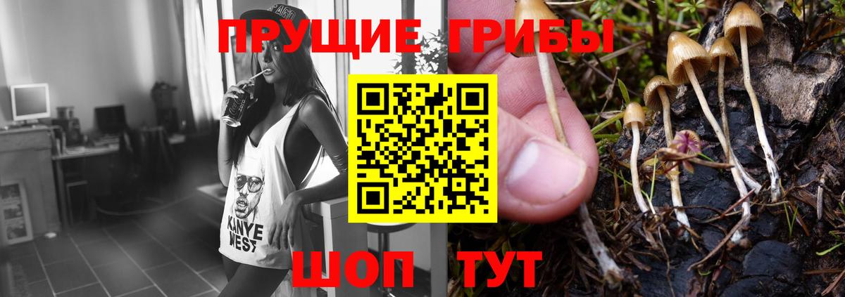 Галлюциногенные грибы мицелий Абинск