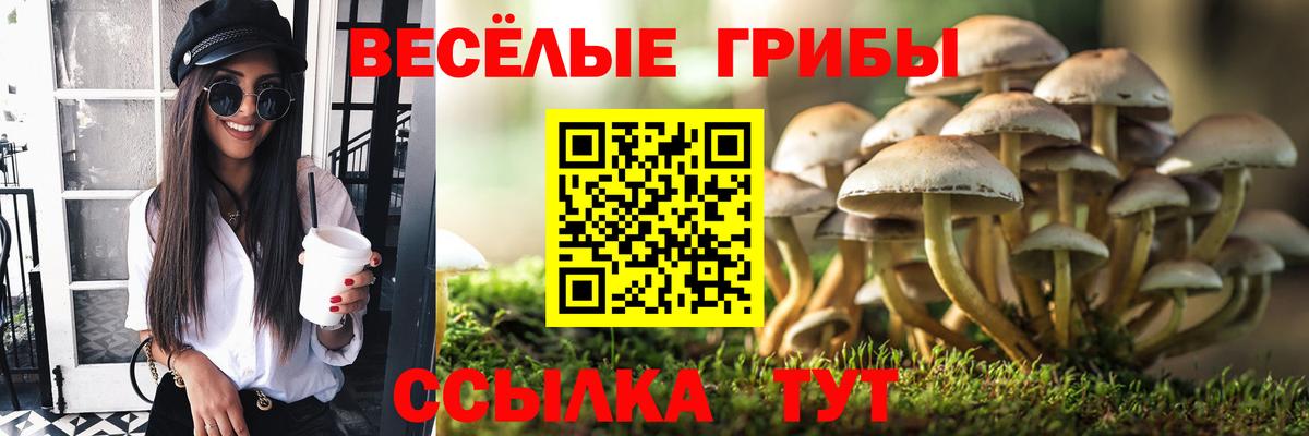 Псилоцибиновые грибы MAGIC MUSHROOMS Абинск