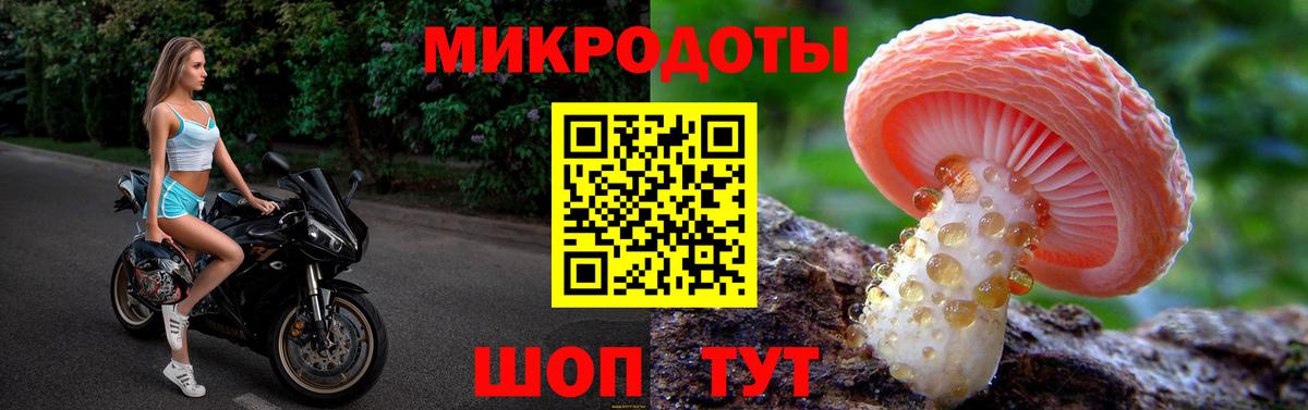 Псилоцибиновые грибы Cubensis  Абинск  Псилоцибиновые грибы ЛСД 