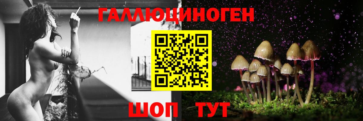 Псилоцибиновые грибы MAGIC MUSHROOMS  Псилоцибиновые грибы мицелий  Вход с VPN  Абинск 