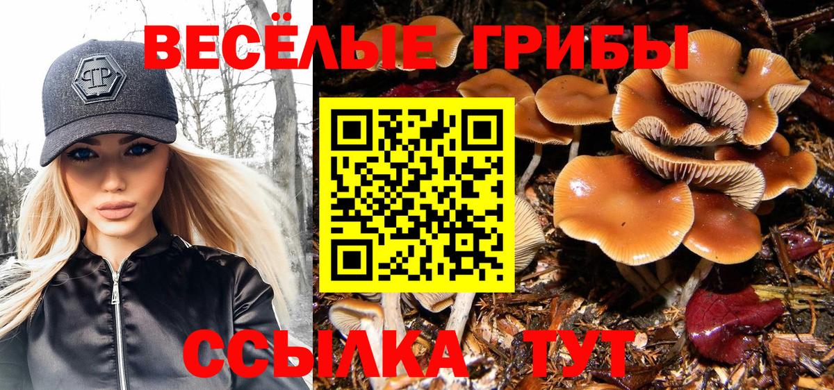 Псилоцибиновые грибы мухоморы Абинск