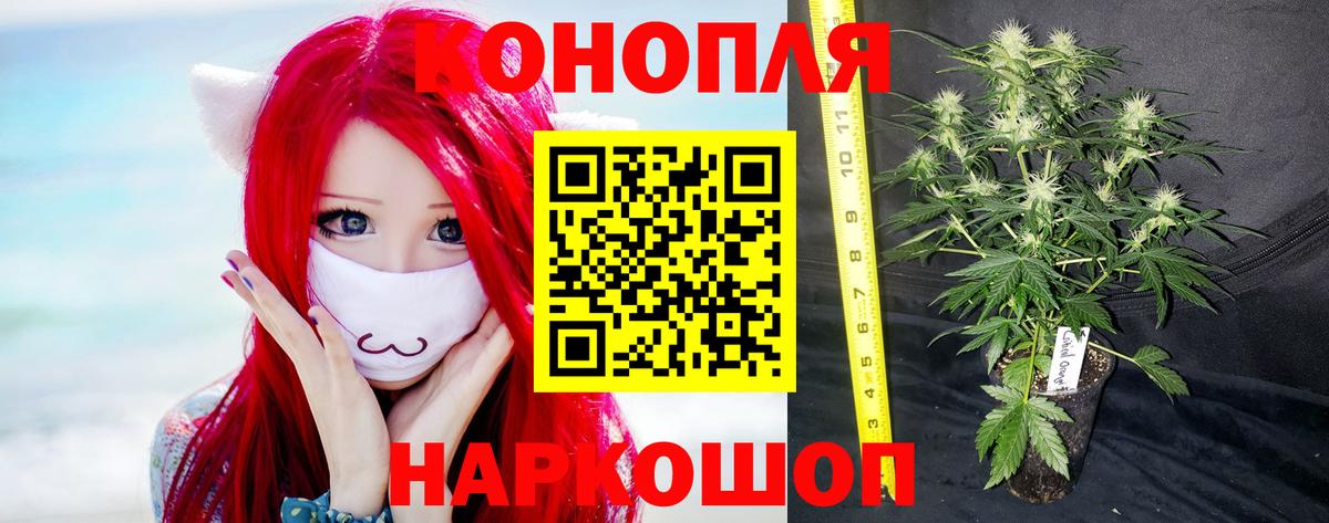 Канабис марихуана  Шишки марихуана ГИДРОПОН  Абинск  Конопля White Widow  Вход с VPN  Каннабис Amnesia 